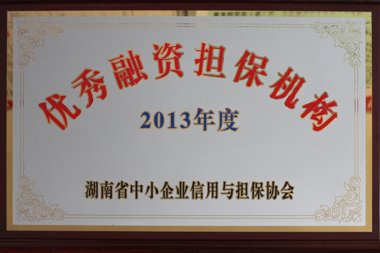 2013年度優(yōu)秀融資擔(dān)保機構(gòu)