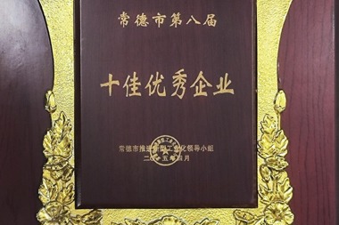 2015年常德市第八屆十佳優(yōu)秀企業(yè)