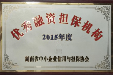 2015年度優(yōu)秀融資擔(dān)保機構(gòu)