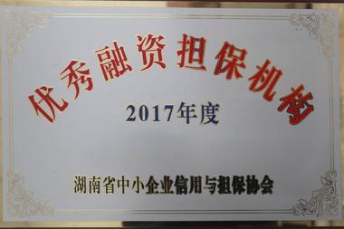 2017年度優(yōu)秀融資擔(dān)保機(jī)構(gòu)