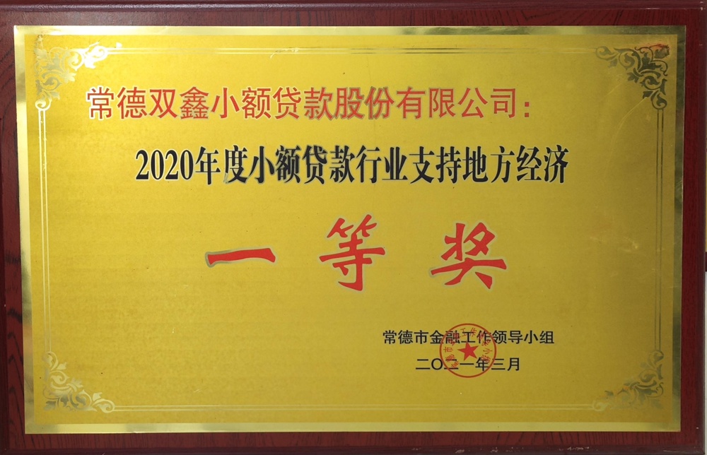 常德雙鑫小額貸款股份有限公司：2020年度融資擔保行業(yè)支持地方經(jīng)濟一等獎