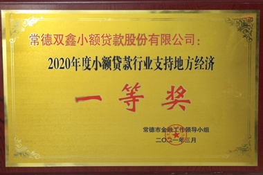 2020年度融資擔(dān)保行業(yè)支持地方經(jīng)濟(jì)一等獎(jiǎng)—常德雙鑫小額貸款股份有限公司