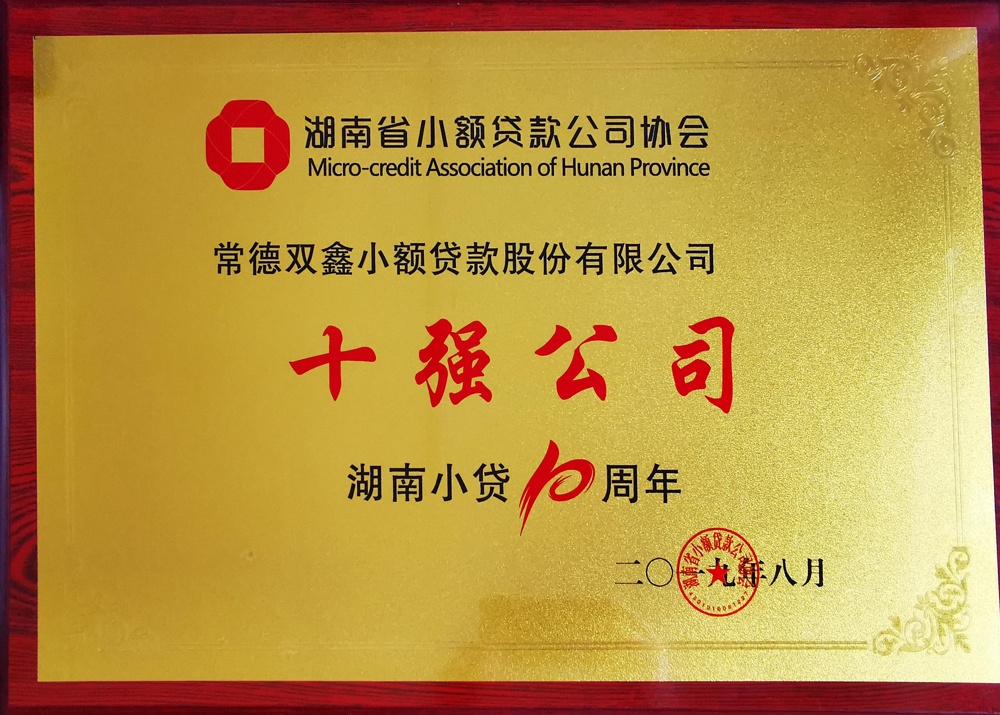 2019年常德雙鑫小額貸款股份有限公司十強(qiáng)公司