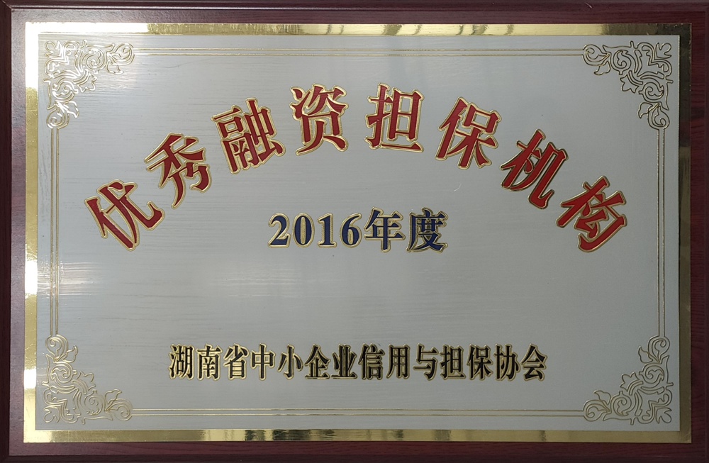 2016年度優(yōu)秀融資擔(dān)保機(jī)構(gòu)