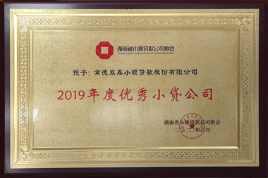 2019年度優(yōu)秀小額貸款公司—常德雙鑫小額貸款股份有限公司