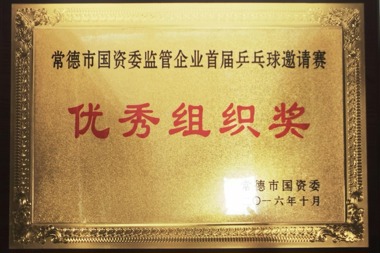 2016年常德市國(guó)資委監(jiān)管企業(yè)首屆乒乓球邀請(qǐng)賽優(yōu)秀組織獎(jiǎng)