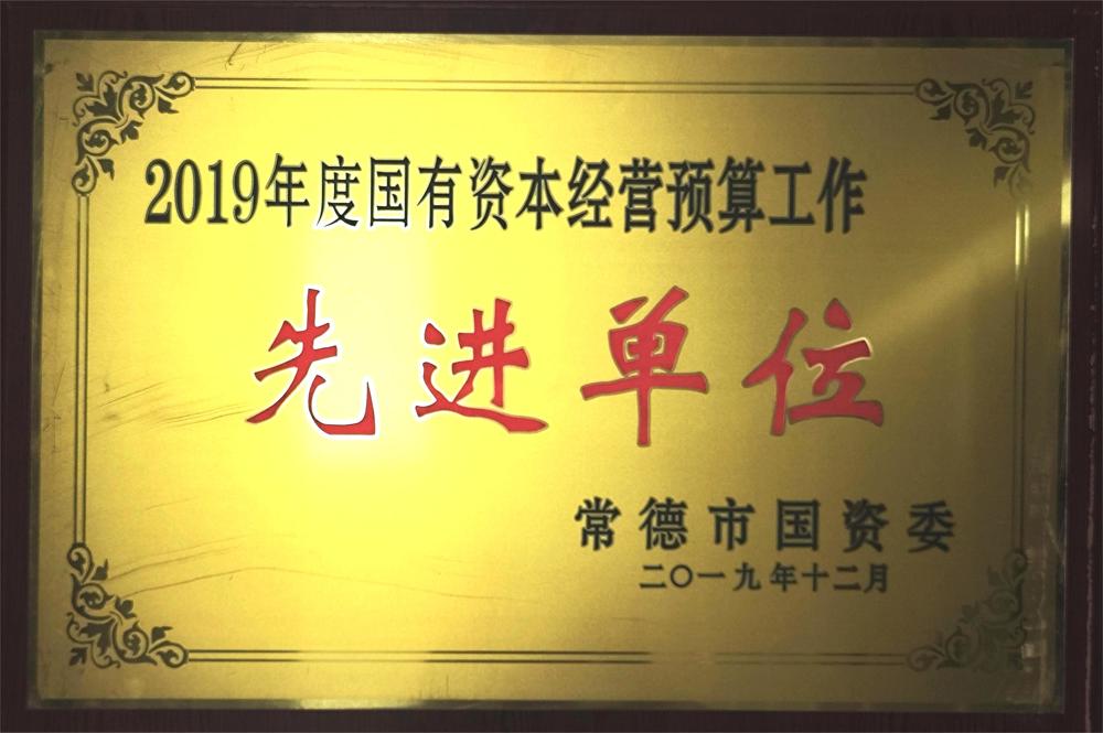 2019年度國有資本經(jīng)營預算工作先進單位