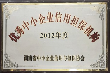 2012年度優(yōu)秀中小企業(yè)信用擔保機構