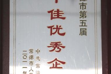 2011年常德市第五屆十佳優(yōu)秀企業(yè)