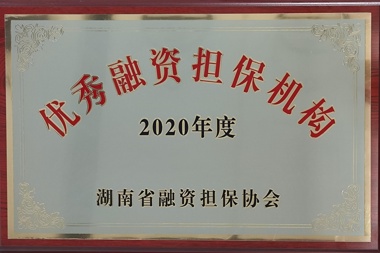 2020年度優(yōu)秀融資擔(dān)保機(jī)構(gòu)