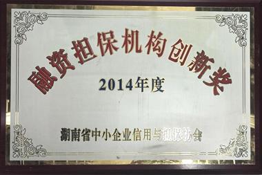 2014年度融資擔(dān)保機構(gòu)創(chuàng)新獎