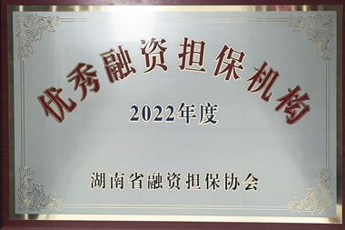 2022年度優(yōu)秀融資擔保機構(gòu)