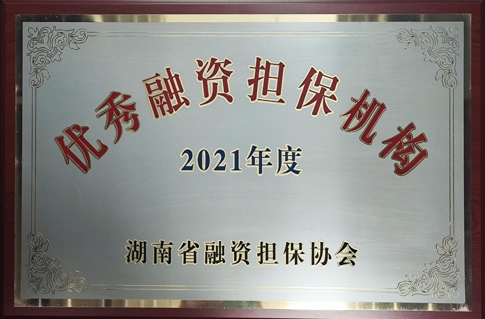 2021年度優(yōu)秀融資擔(dān)保機(jī)構(gòu)