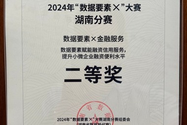 2024年“數(shù)據(jù)要素X”大賽湖南分賽二等獎(jiǎng)——常德金融超市